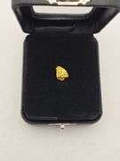 .053 oz 1.53 Gram Gold Nugget