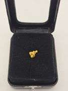 .043 oz 1.24 Gram Gold Nugget