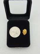 .052 oz 1.48 Gram Gold Nugget