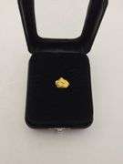 .056 oz 1.60 Gram Gold Nugget