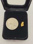 .041 oz 1.19 Gram Gold Nugget