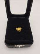 .049 oz 1.41 Gram Gold Nugget