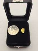 .028 oz .80 Gram Gold Nugget