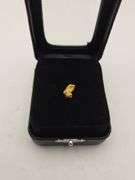 .049 oz 1.39 Gram Gold Nugget