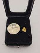 .036 oz 1.04 Gram Gold Nugget