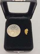 .040 oz 1.16 Gram Gold Nugget