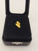 .067 oz 1.92 Gram Gold Nugget