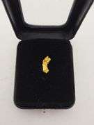 .044 oz 1.27 Gram Gold Nugget