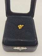 .043 oz 1.24 Gram Gold Nugget