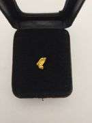 .049 oz 1.39 Gram Gold Nugget