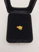 .049 oz 1.41 Gram Gold Nugget