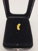 .044 oz 1.27 Gram Gold Nugget