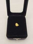 .026 oz .75 Gram Gold Nugget
