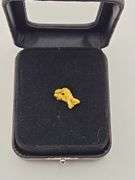 .056 oz 1.61 Gram Gold Nugget