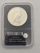 1925 Silver Peace Dollar