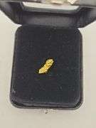.034 oz .98 Gram Gold Nugget
