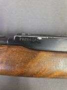 Glenfield Model 60 .22lr