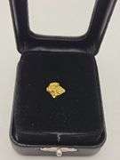 .034 oz .99 Gram Gold Nugget