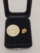 .056 oz 1.60 Gram Gold Nugget