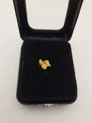 .065 oz 1.85 Gram Gold Nugget