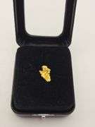 .067 oz 1.92 Gram Gold Nugget
