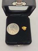.053 oz 1.53 Gram Gold Nugget