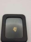 .056 oz 1.60 Gram Gold Nugget