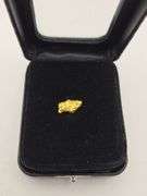 .065 oz 1.86 Gram Gold Nugget