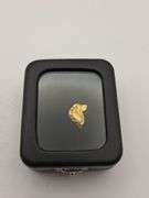 .087 oz 2.48 Grams Gold Nugget