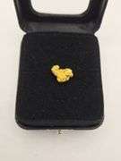 .101 oz 2.89 Gram Gold Nugget