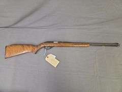 Glenfield Model 60 .22lr