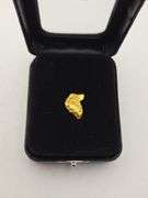 .087 oz 2.48 Grams Gold Nugget