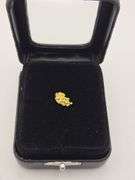 .040 oz 1.16 Gram Gold Nugget