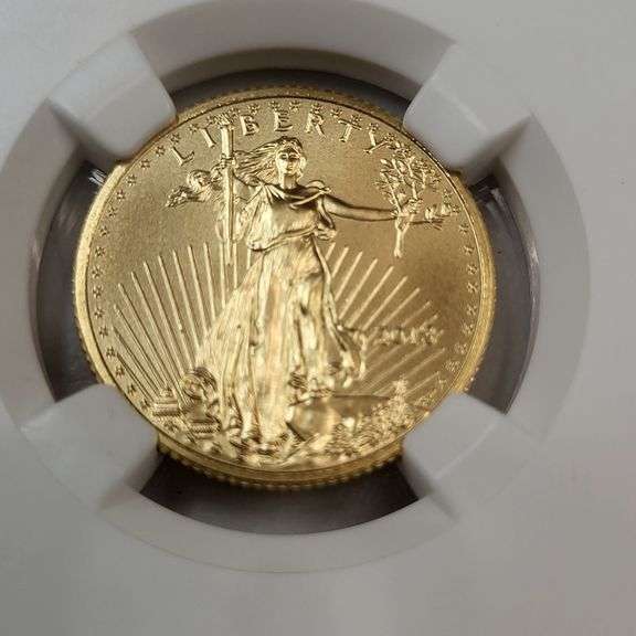 2013 Eagle G$10 MS69 coin image