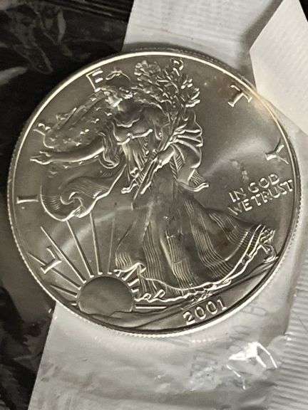 2001 American Silver Eagle image