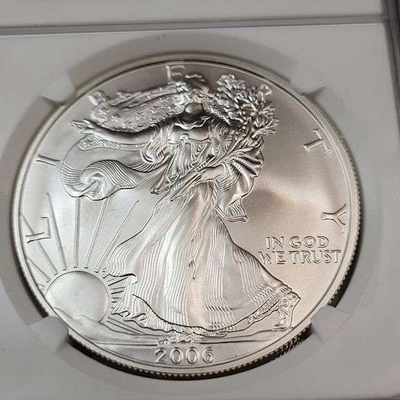 2006 W Eagle $1 MS 69 image