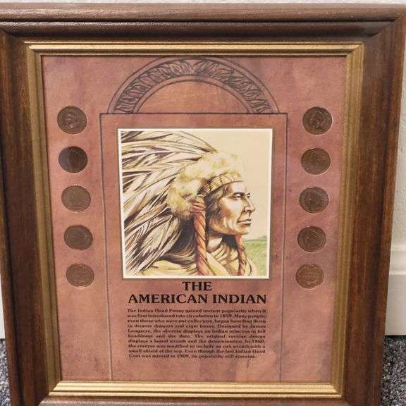 The American Indian 10 Indian Head Pennies Coin Collection Framed 1901-1905 image