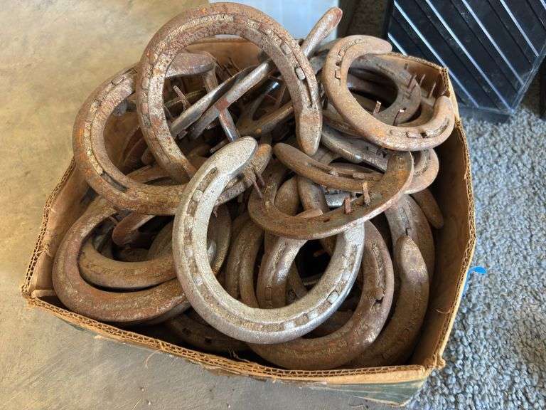 Box of horse shoes
