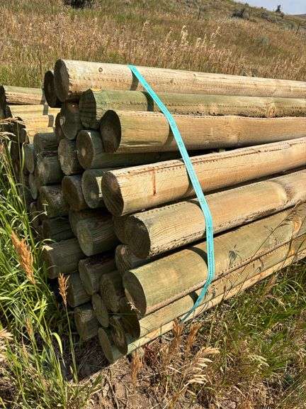 Bundle of wooden fence posts