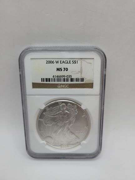 2006 W Eagle S$1 MS70 walking liberty image