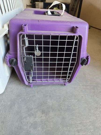 Pet Porter & Small pet Carrier