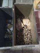 Bulk Assorted Fasteners in Metal Ammunition Boxes