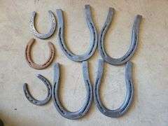 Horseshoe Lot