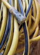 Large Bundle of Yellow Extension Cords