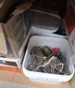 Assorted Nails, Bolts, and Construction Fasteners