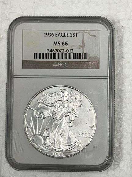 1996 Eagle MS 66 Silver image