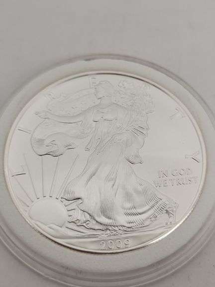 2009 USA Silver Eagle walking liberty 1oz silver coin unc image
