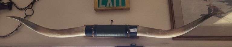 Mounted Steer Horns Western Decor image