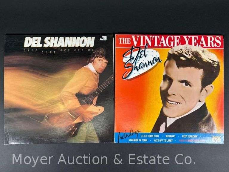 (2) Del Shannon Record Albums image