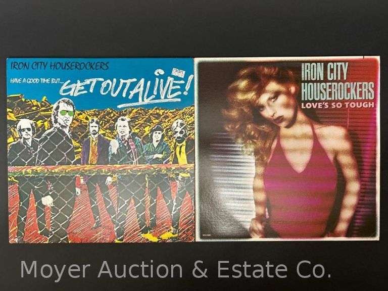 (2) Iron City Houserockers Record Albums image